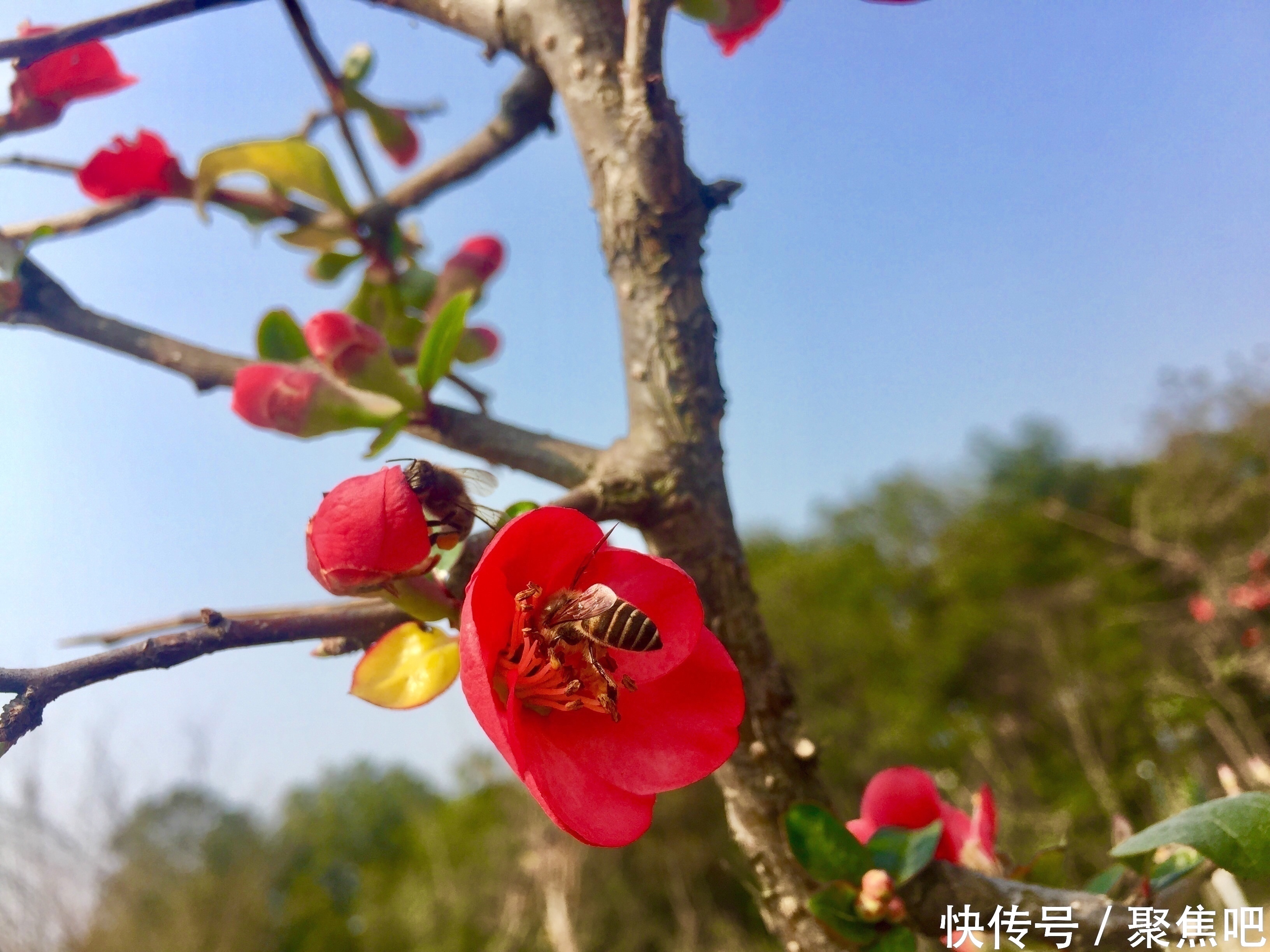 财神爷驾到,快把财神爷请回家,狗年一定发发发