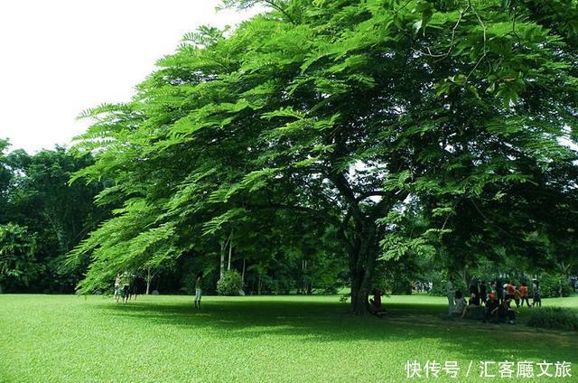 比三亚私密，比泰国便利，比江浙沪亲民的度假胜地