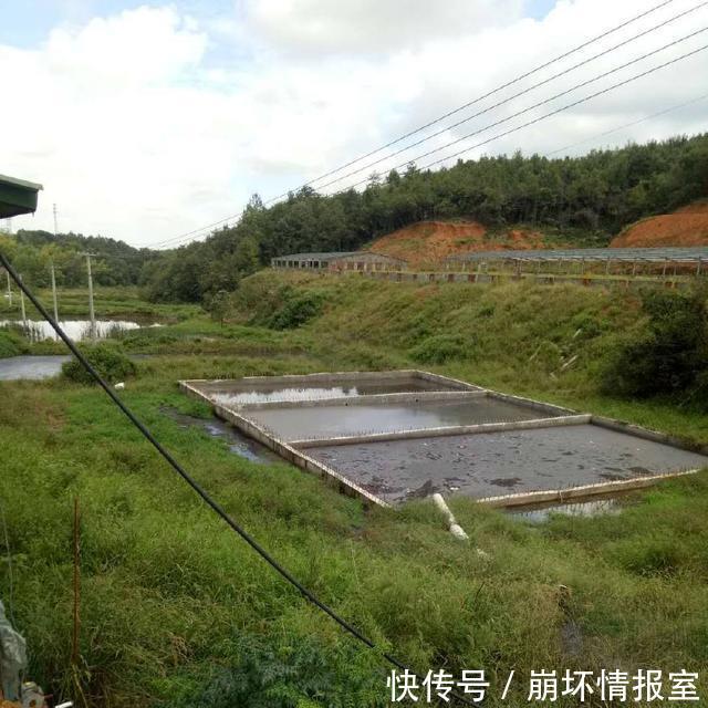 六安地区有多少人口_六安离合肥多少公里