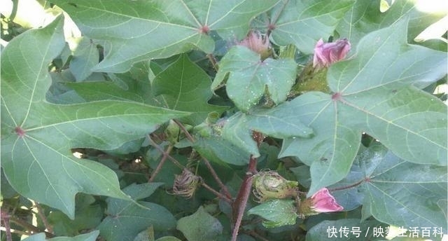 t01ff971c333f92f9e8.jpg?size=640x344