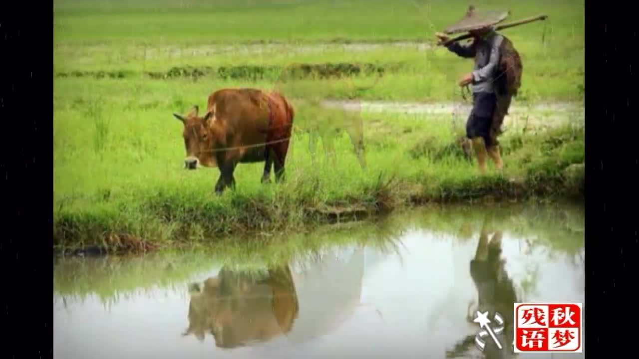 一曲《阿爸的故乡》泪奔游子心!