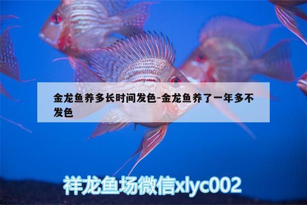 丹東市振興區(qū)馨海水族館（丹東市振興區(qū)馨海水族館電話）