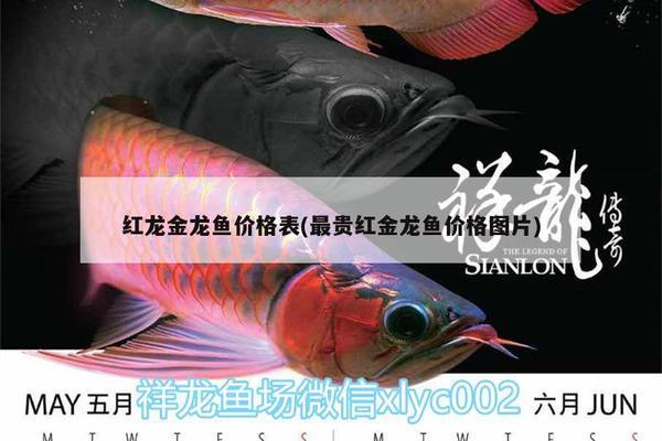 有沒(méi)有冷水龍魚苗賣 水族問(wèn)答 第2張