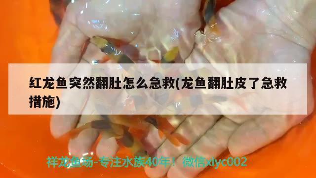 珠海市夏灣年華生水族館（珠海市夏灣年華生水族館電話號(hào)碼）