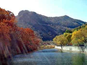 烏魯木齊哪里賣(mài)魚(yú)缸便宜（烏魯木齊哪里賣(mài)魚(yú)缸便宜又好） 水族問(wèn)答