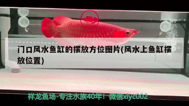 北海魚缸售后維護(hù)電話地址查詢（北海魚缸售后維護(hù)電話地址查詢）