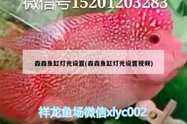 長沙魚缸定制廠家地址（長沙魚缸定制廠家地址電話）