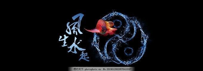 龍魚鱗片潰爛怎么治療圖片（龍魚鱗片潰爛怎么治療圖片大全）