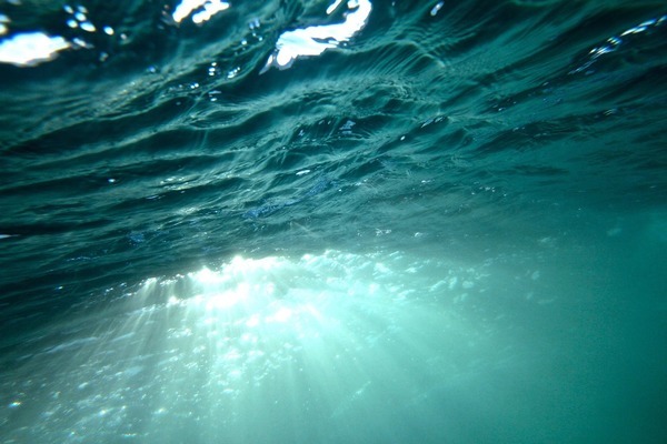 高平市世紀(jì)大道森森水族館（高平市世紀(jì)大道森森水族館電話(huà)）