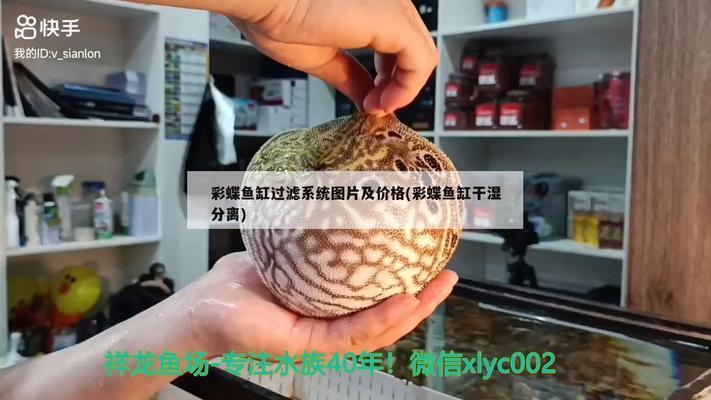 棗莊市市中區(qū)新天地水族館（棗莊市市中區(qū)新天地水族館電話）