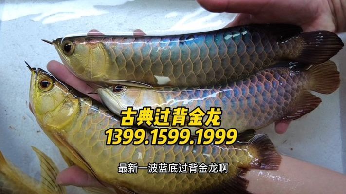 森森魚缸上濾燈管怎么換（森森魚缸照明燈管怎么更換）