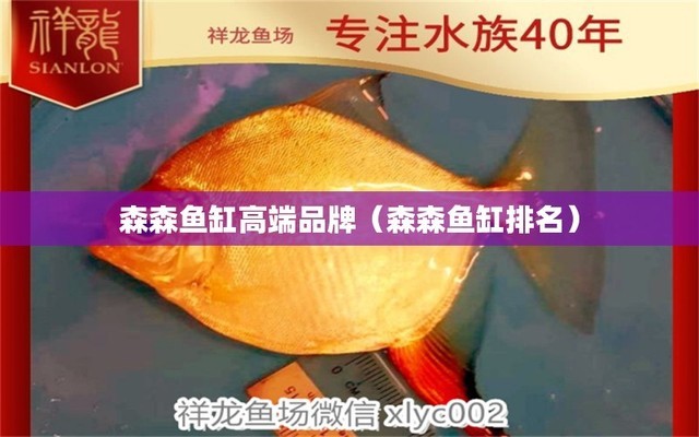 丹東市元寶區(qū)魚(yú)你有約水族館（丹東有魚(yú)有肉）