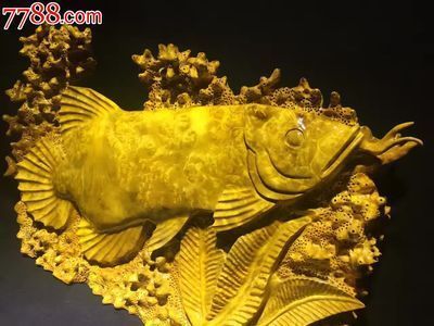 1.2米的魚缸適合養(yǎng)什么冷水魚（1.2米的魚缸適合養(yǎng)什么冷水魚呢）