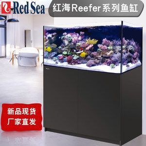 60的魚缸放多少鹽（60魚缸放多少鹽合適） 其他品牌魚缸