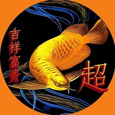 寧波哪里賣魚(yú)缸好一點(diǎn)兒（寧波哪里賣魚(yú)缸好一點(diǎn)兒的） 觀賞魚(yú)市場(chǎng)（混養(yǎng)魚(yú)）