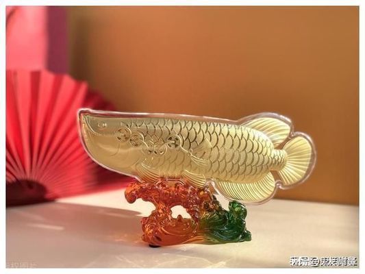 出售紅龍魚(yú)魚(yú)苗（出售紅龍魚(yú)魚(yú)苗違法嗎）