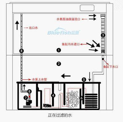 5mm玻璃魚缸承重（5mm玻璃魚缸承重多少） 其他品牌魚缸