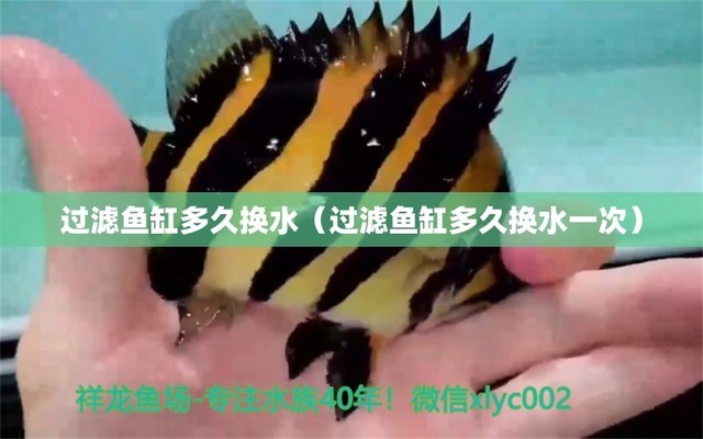 合肥水族批發(fā)市場在哪里（合肥水族批發(fā)市場在哪里?。? title=