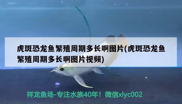 遂寧水族館魚缸價(jià)格表大全（遂寧水族館魚缸價(jià)格表大全圖片）