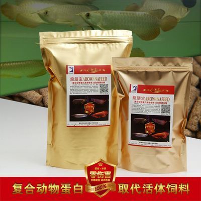 適合和龍魚(yú)混養(yǎng)的魚(yú)品種