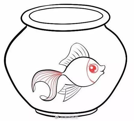 魚(yú)缸常見(jiàn)的魚(yú)有哪些（魚(yú)缸常見(jiàn)的魚(yú)有哪些品種）