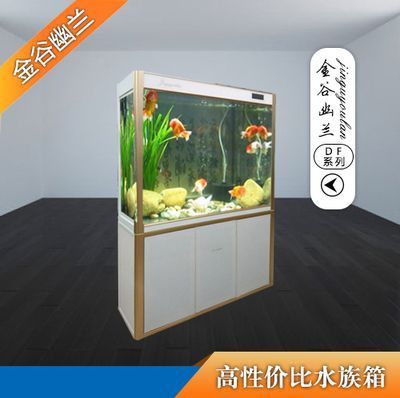 北方觀賞魚什么魚最好養(yǎng)（北方觀賞魚什么魚最好養(yǎng)的）