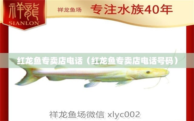 岫玉大魚(yú)缸價(jià)格（岫玉魚(yú)缸價(jià)格和圖片） 觀賞魚(yú)批發(fā)