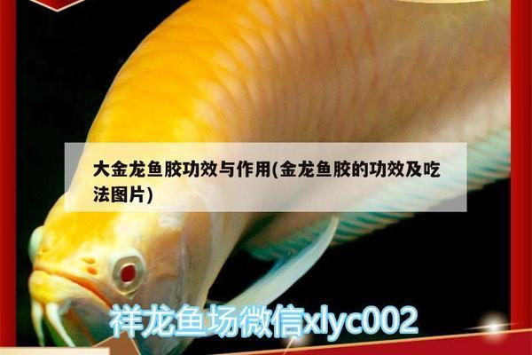 魚缸污漬怎么清洗小妙招（魚缸污漬怎么清洗小妙招圖解）