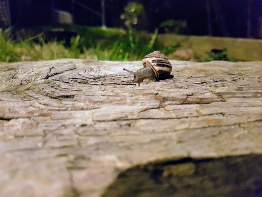 蕪湖金龍魚夜班招聘電話（蕪湖金龍魚夜班招聘電話號(hào)碼）