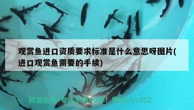 張家界水族店（張家界水產(chǎn)市場(chǎng)在哪里）