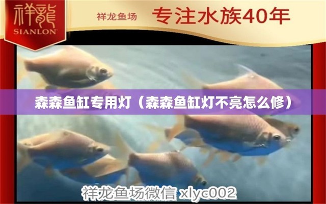 魚缸換水放置幾天（魚缸換水放置幾天最好） 其他益生菌