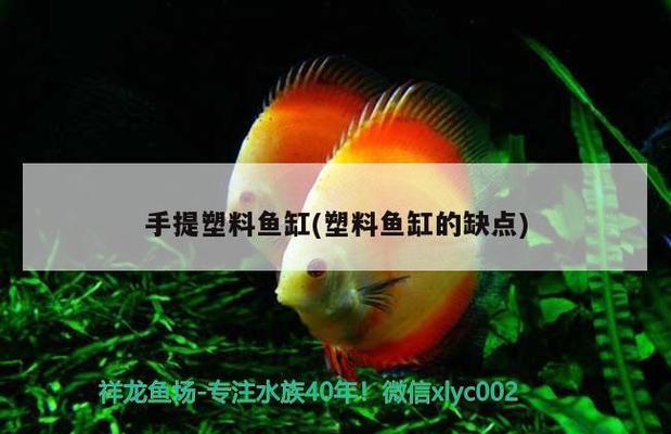 景德鎮(zhèn)魚(yú)缸售后維護(hù)中心地址（景德鎮(zhèn)魚(yú)缸售后維護(hù)中心地址電話） 其他品牌魚(yú)缸