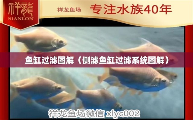 魚缸放辦公室哪個位置招財（辦公桌擺放魚缸正確圖）