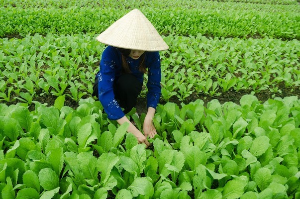 安慶光彩哪里賣魚缸便宜（安慶光彩哪里賣魚缸便宜點）