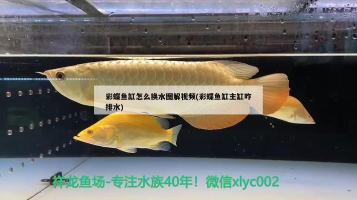 達州水族器材濾材（達州水族器材濾材批發(fā)市場）