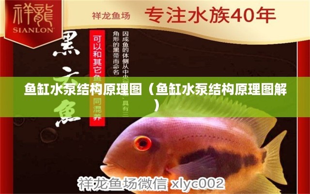 紹興魚缸抽水泵維修點(diǎn)在哪里?。ńB興魚缸抽水泵維修點(diǎn)在哪里啊電話）