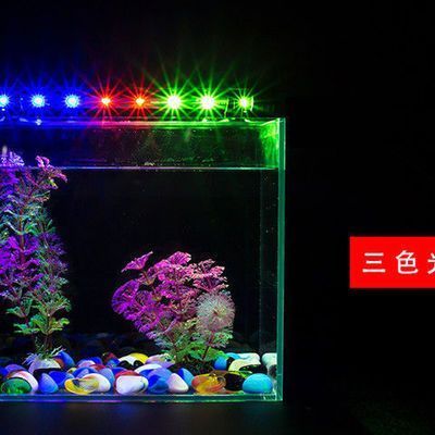 德州魚缸水族加工廠電話地址查詢德州二手魚缸轉(zhuǎn)讓 黑白雙星