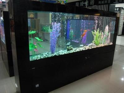 福州市馬尾區(qū)名爍水族用品店（福州水族店一條街）