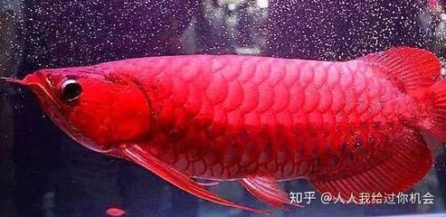 南通魚缸廠家聯(lián)系電話（南通魚缸廠家聯(lián)系電話號(hào)碼）