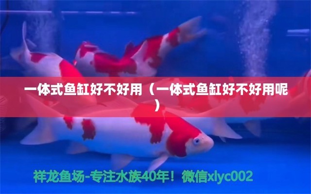 58同城清洗魚缸電話多少號(hào)?。?8同城清洗魚缸電話多少號(hào)啊多少錢）