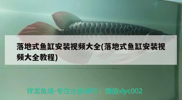 賽罕區(qū)盛潔水族器材用品商行