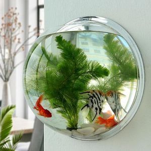 魚缸造景石頭種類有哪些品種（魚缸造景石頭種類有哪些品種圖片）