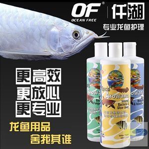 龍魚(yú)蒙眼用什么藥最有效：龍魚(yú)蒙眼初期如何預(yù)防