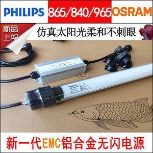 東陽哪里有賣魚缸的地方啊電話（東陽哪里有賣魚缸的地方啊電話號碼）