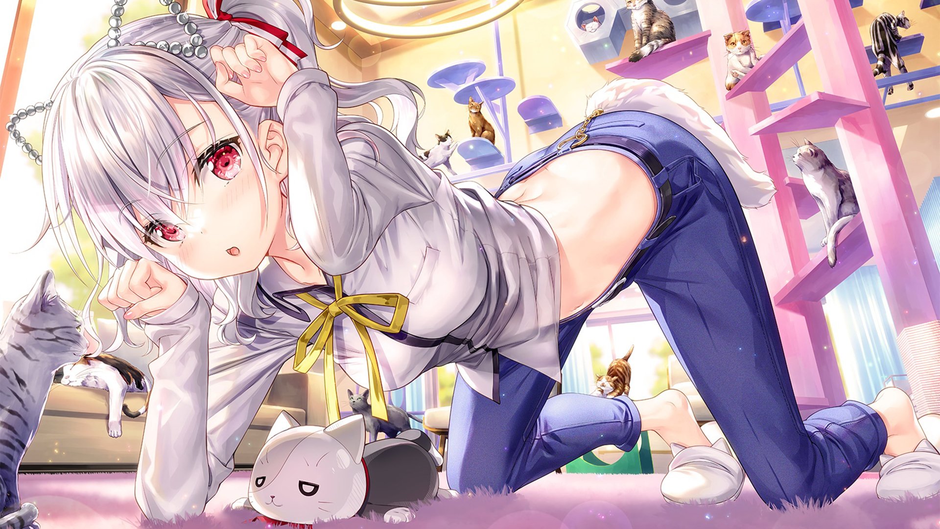 使用 Python 脚本下载指定网页的图片文件