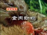 人与自然 自然发现 食肉动物 上