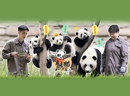熊猫一家人 第5期：叛逆贤贤崽在线掀奶盆