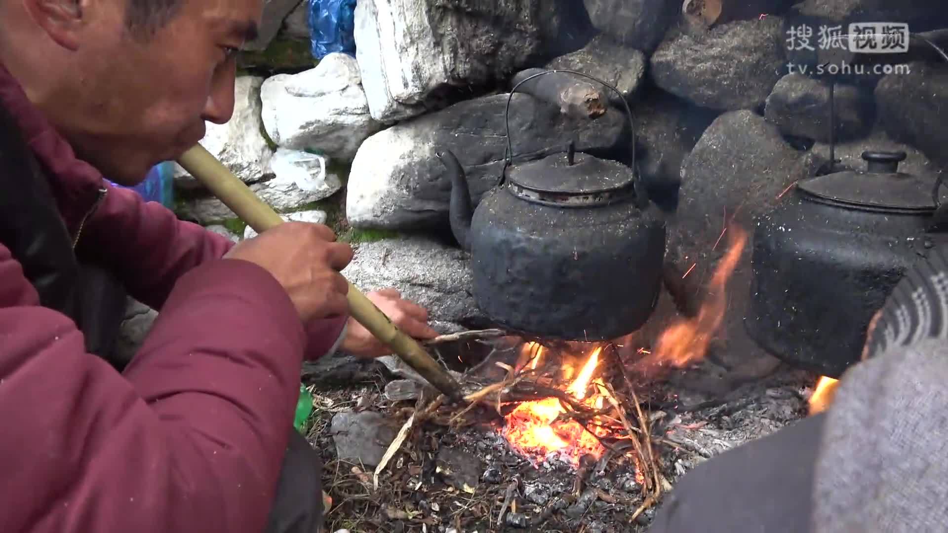 荒野freestyle，这就是一根虫草！