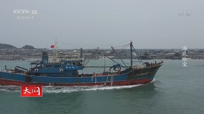 《天网》 20210507 海底珍宝