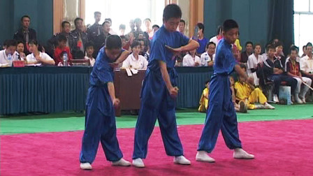尘封赛事 尘封赛事 2005年第五届全国武术馆校武术比赛 对练比赛 002 男子三人对拳